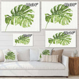 Mixed Botanical Green Leaves V