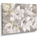 Beige And Brown Blossiming Flowers