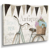 French Bicycle Flea Market II