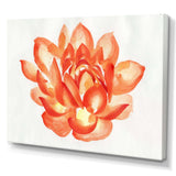 Vintage Detail of A Orange Lotus