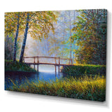 Morning Sunlight and The Awakening Spring Forest