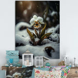 A Blooming White Orchid Flower In Winter II