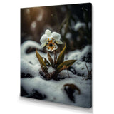 A Blooming White Orchid Flower In Winter II Canvas Canvas
