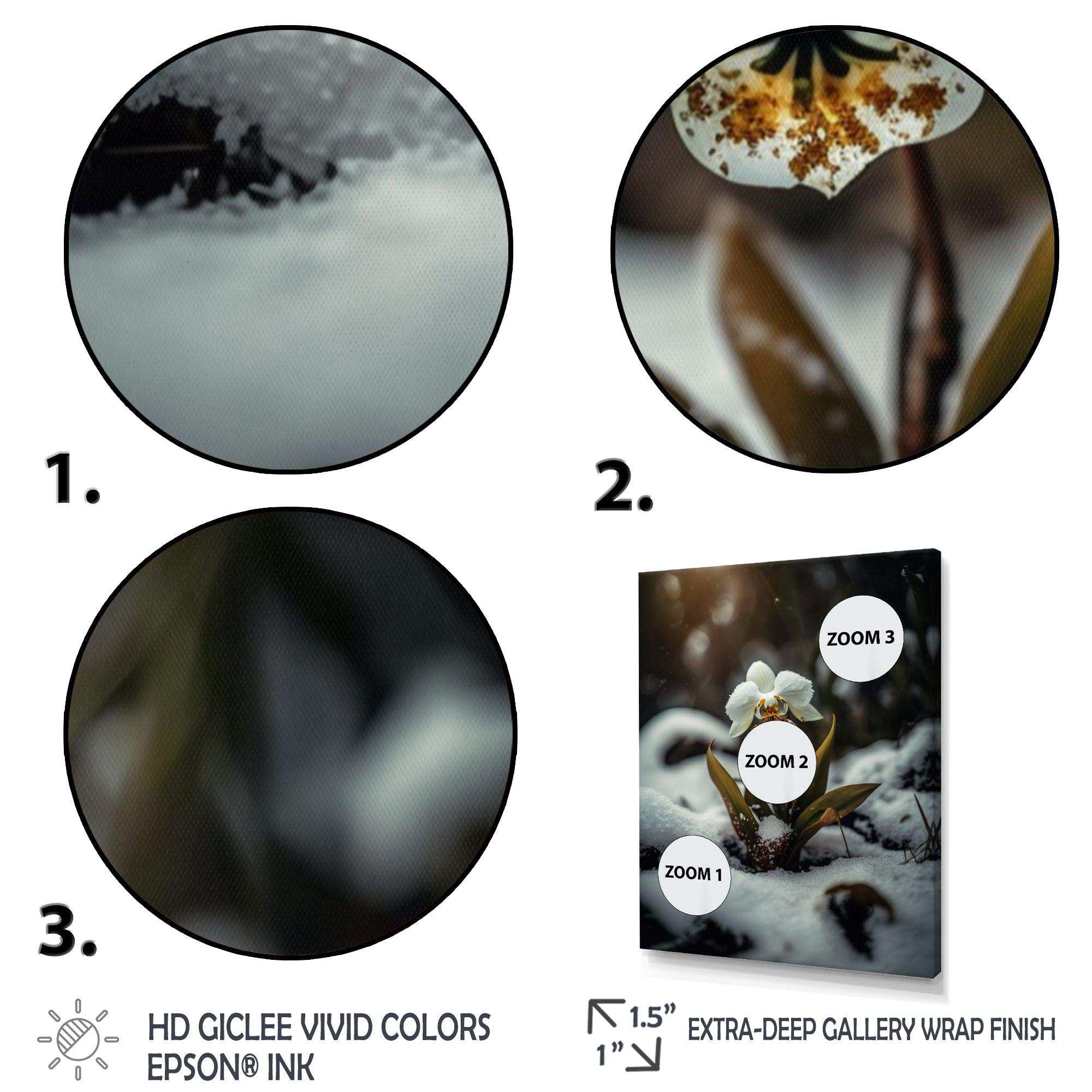 A Blooming White Orchid Flower In Winter II Canvas Canvas