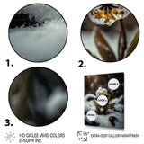 A Blooming White Orchid Flower In Winter II Canvas Canvas