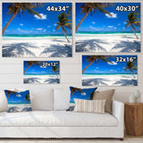 Coconut Palms at Beach