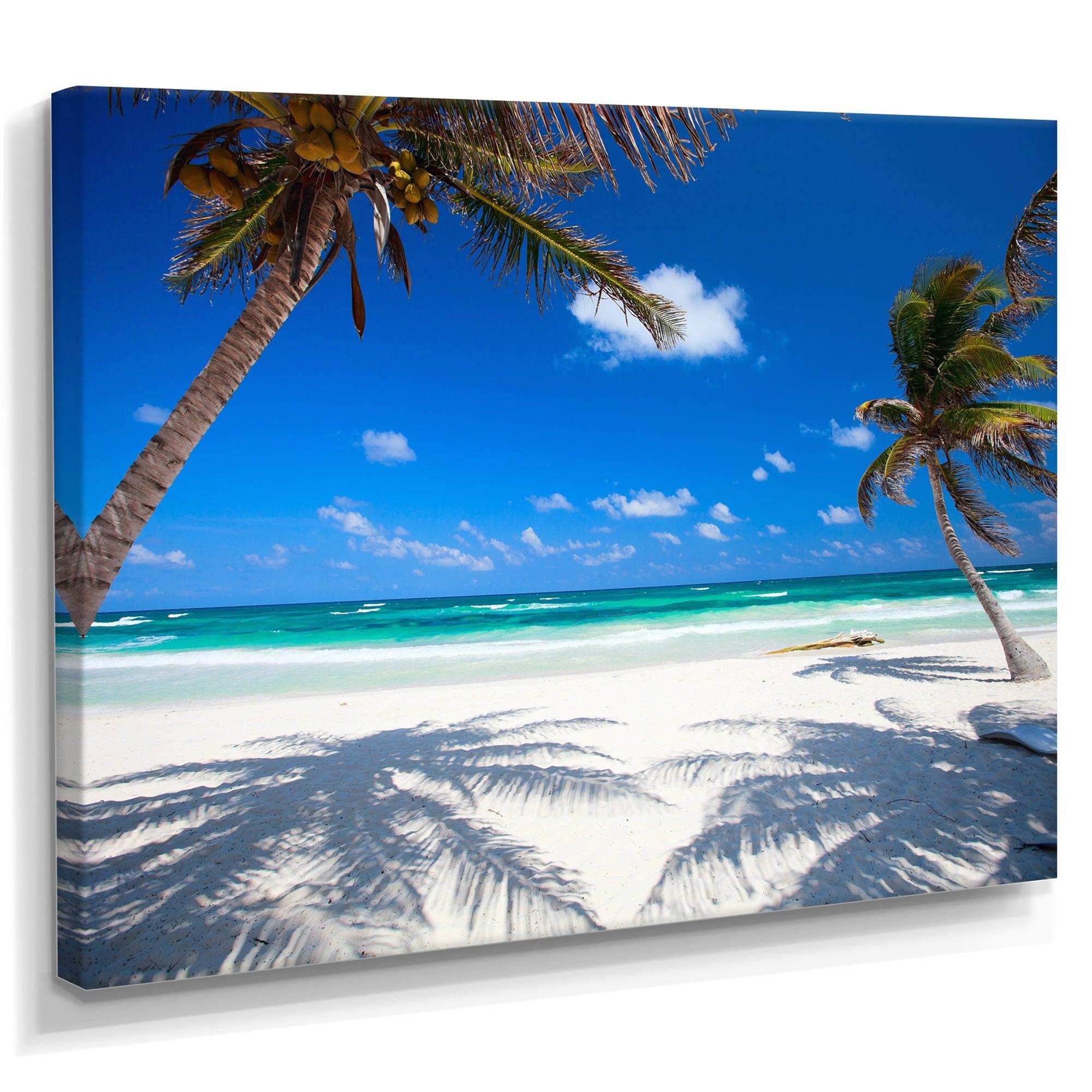 Coconut Palms at Beach