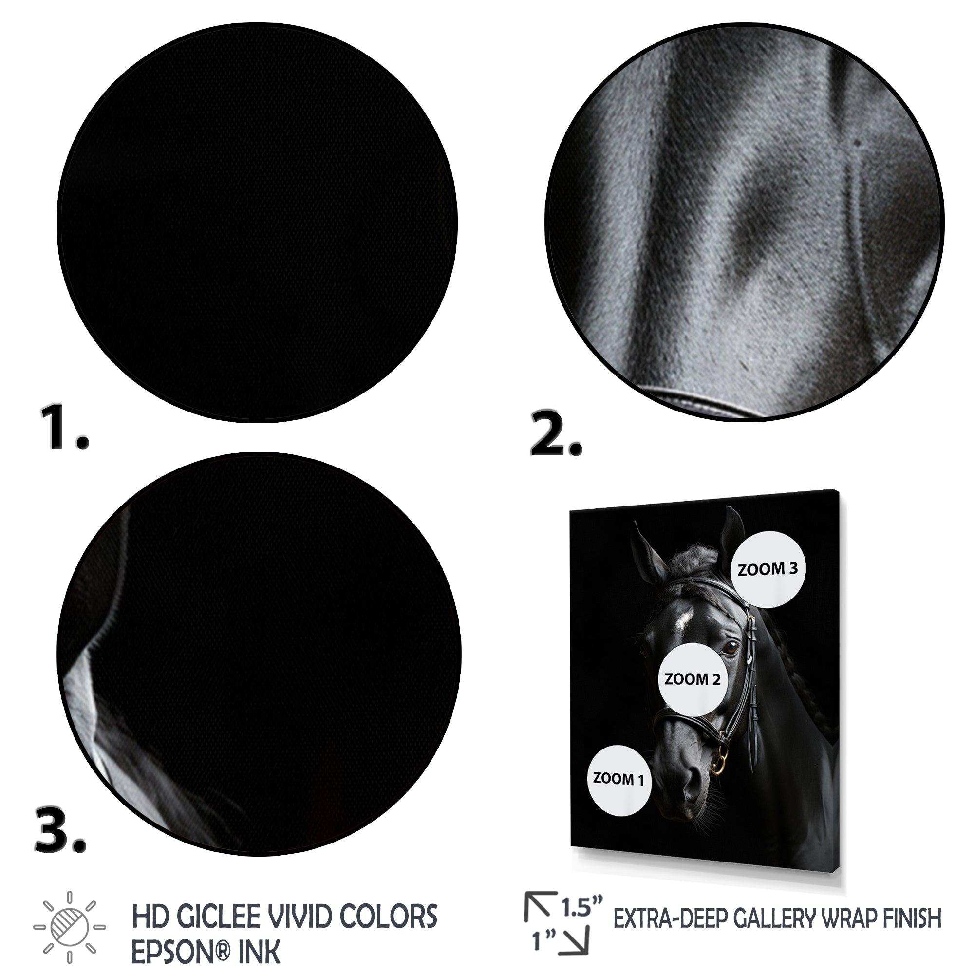 Black And White Horse Elegance - Animals Canvas Wall Art