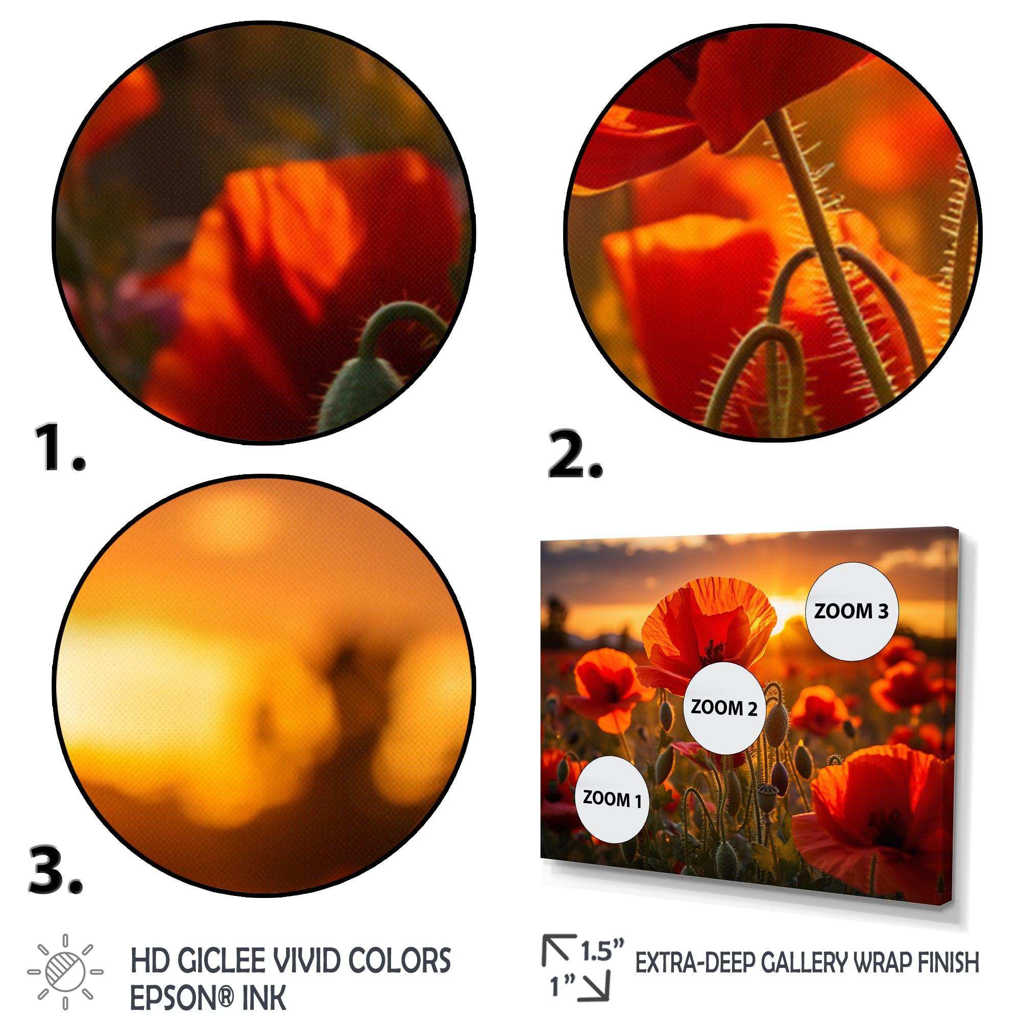 Red Poppies Field With Sunset II - Floral Canvas Wall Art