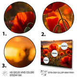 Red Poppies Field With Sunset II - Floral Canvas Wall Art