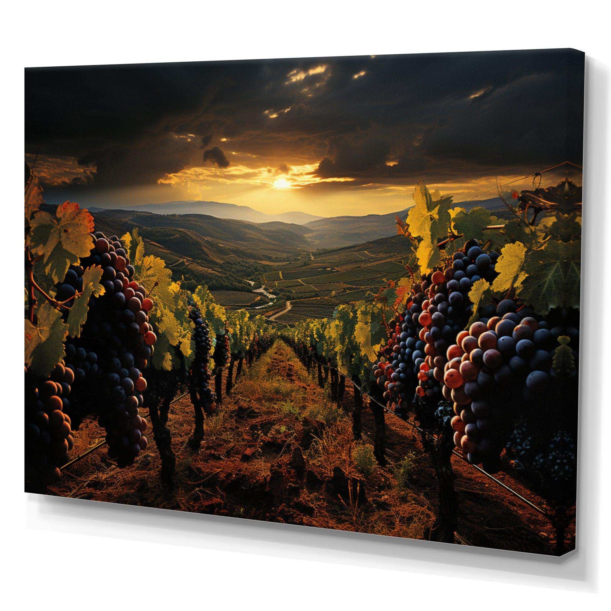 Scenic Vineyard Vibrant Harvest - Landscapes Canvas Wall Art