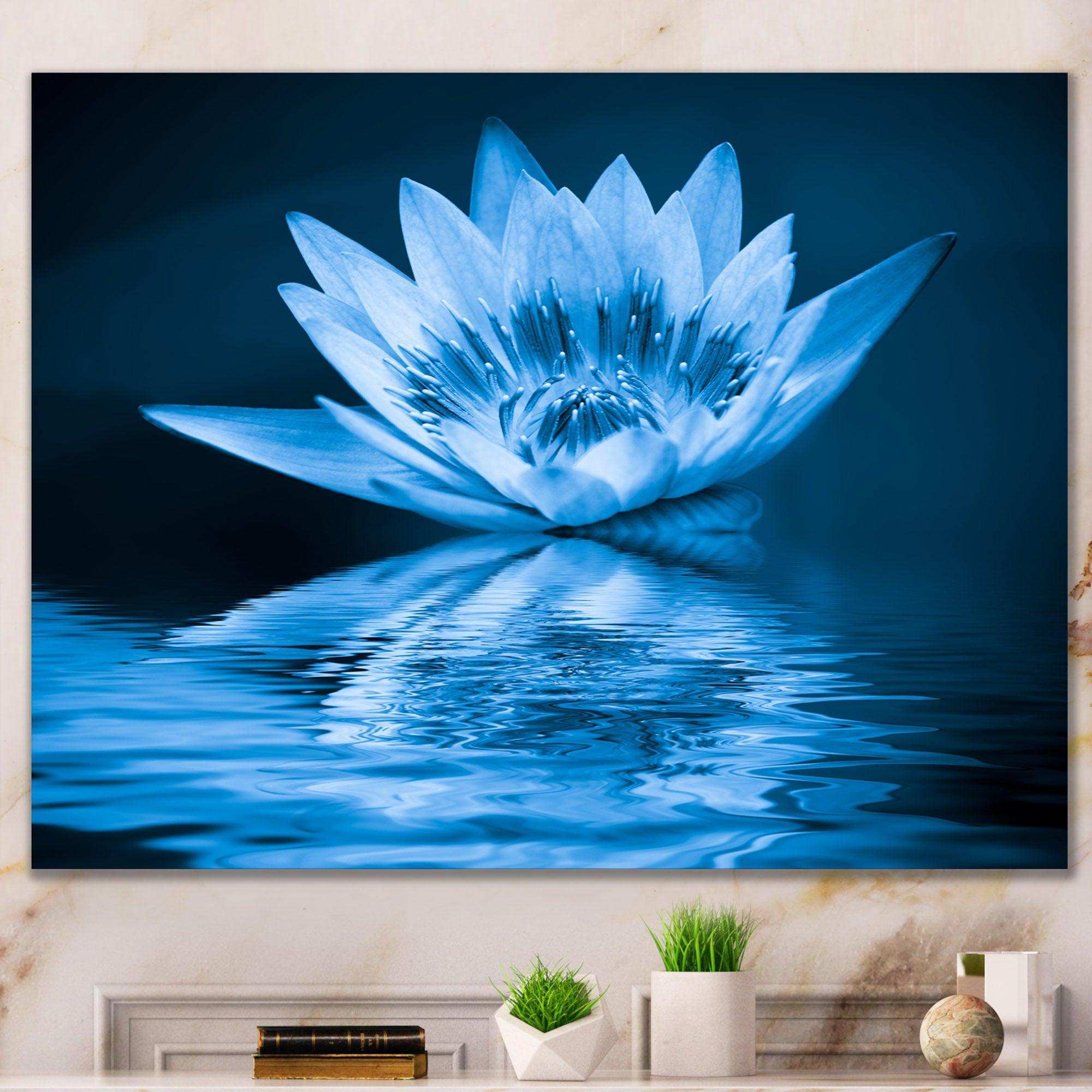 Blue Water Lily