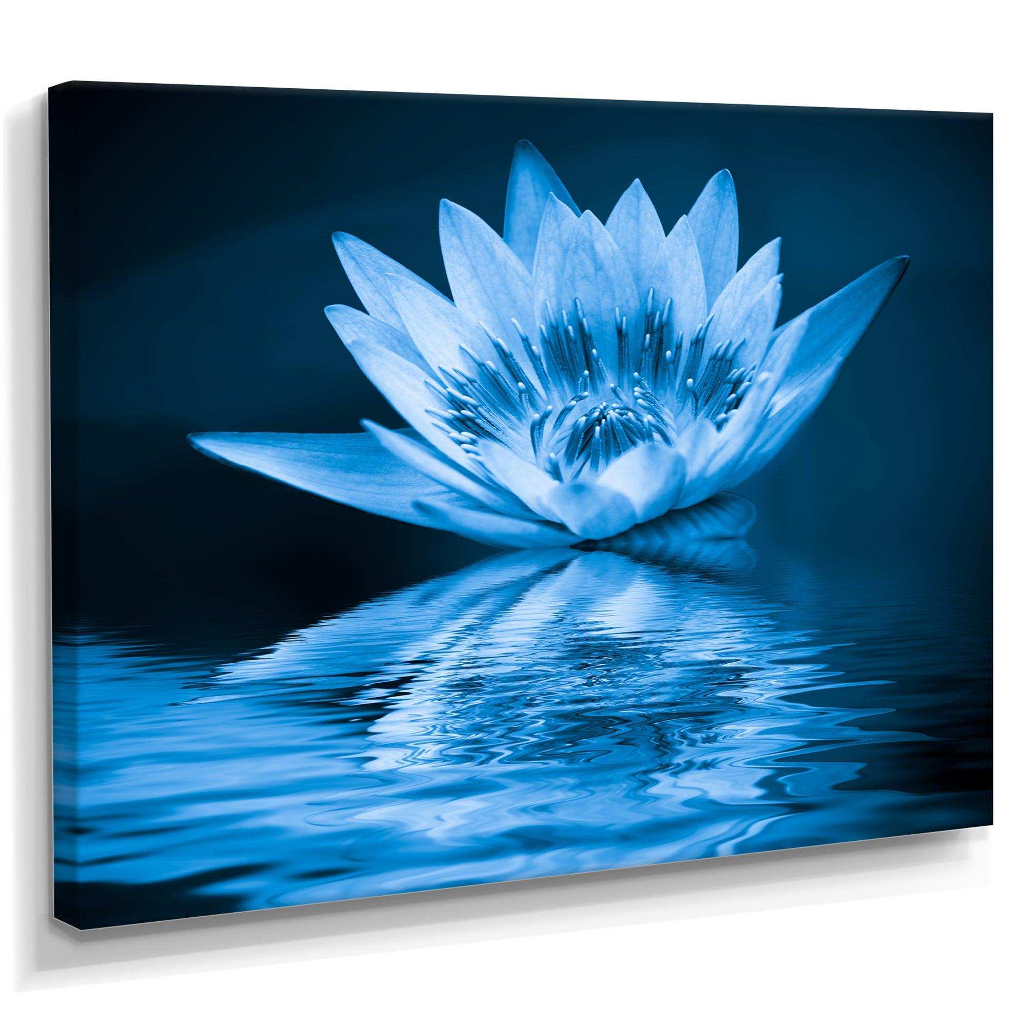 Blue Water Lily