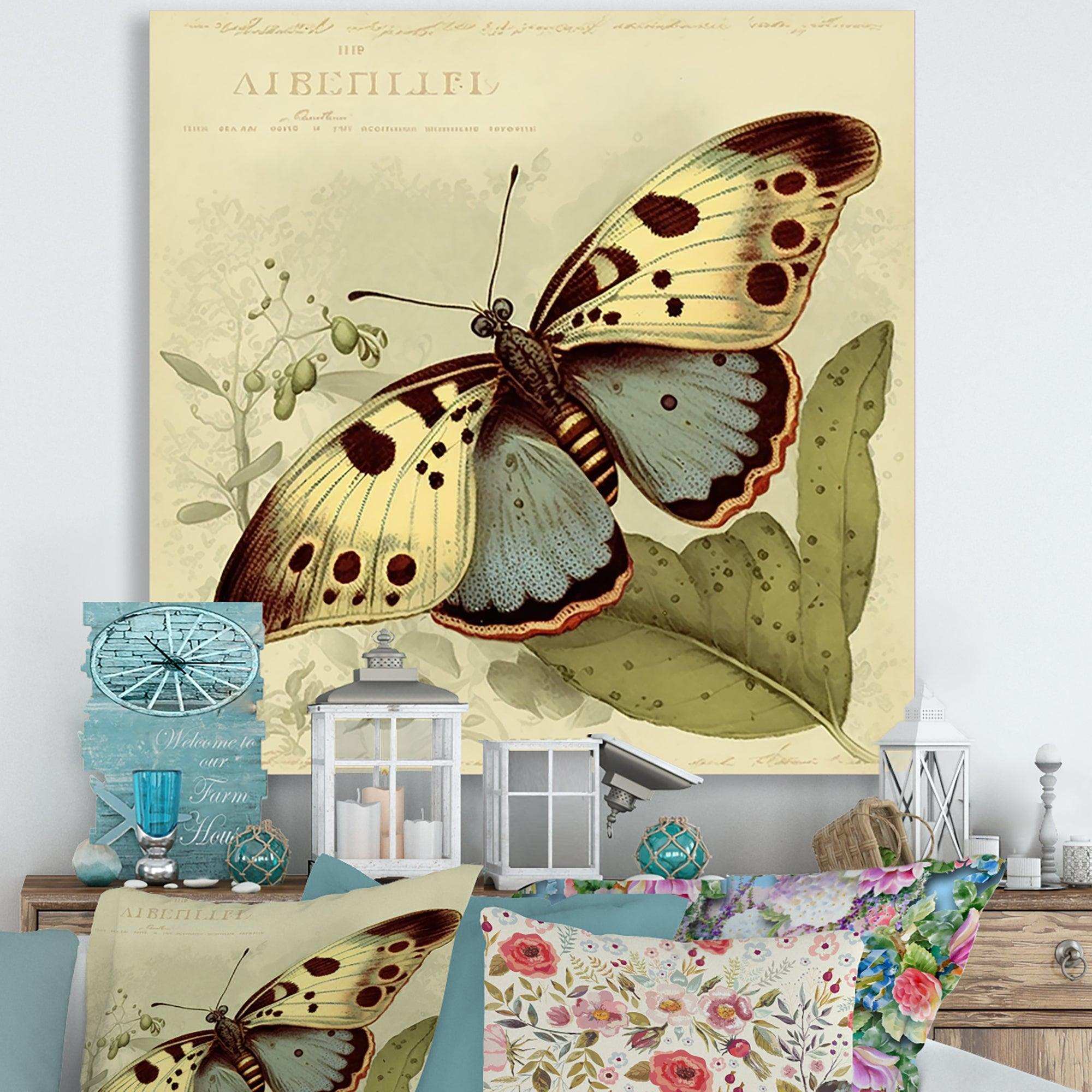 Vintage Illustration Of Butterfly III