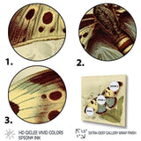 Vintage Illustration Of Butterfly III