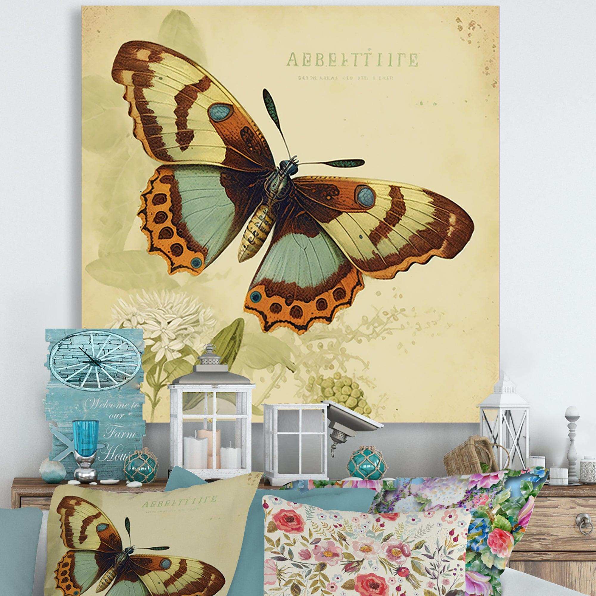 Vintage Illustration Of Butterfly IV