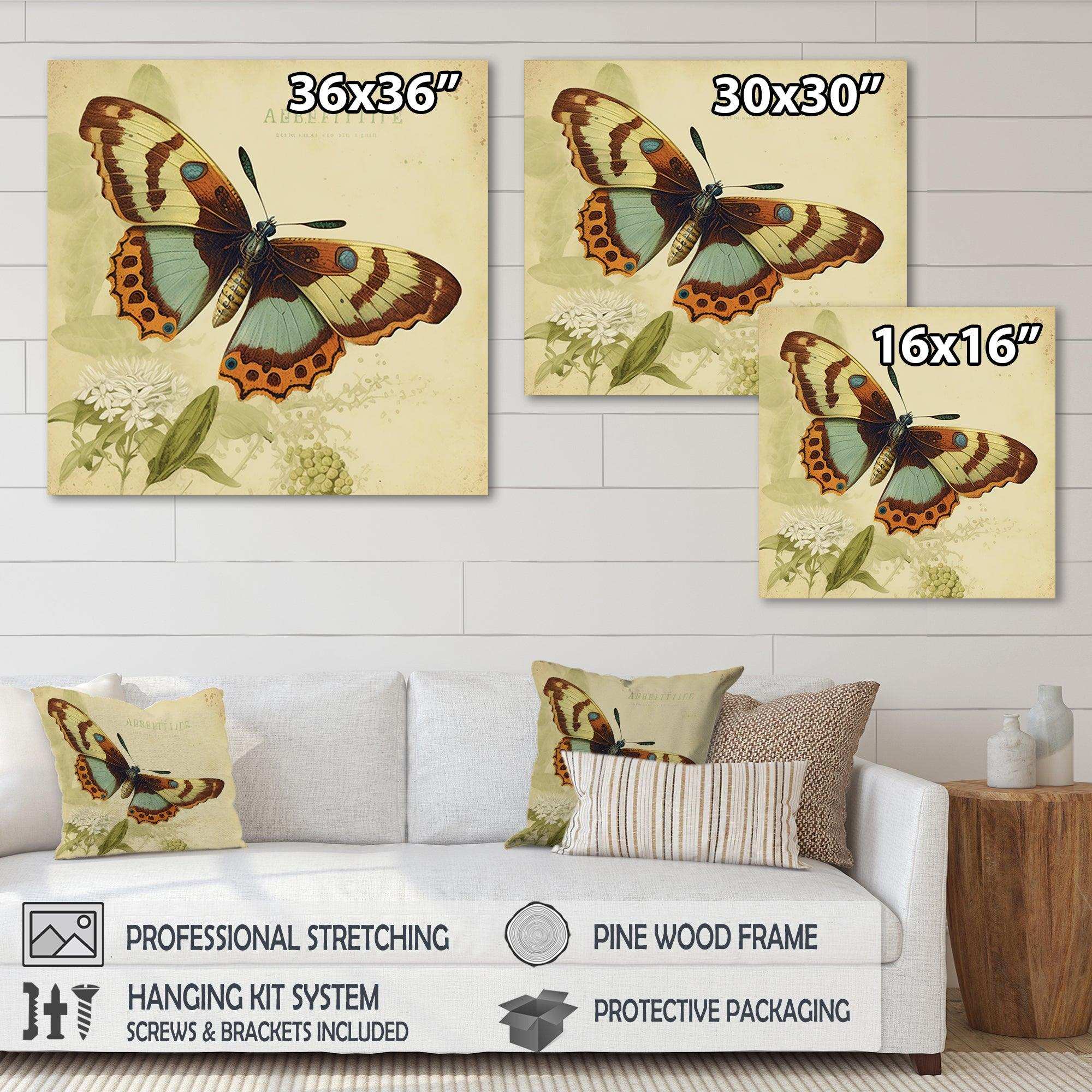 Vintage Illustration Of Butterfly IV