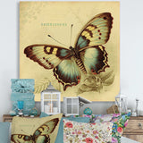 Vintage Illustration Of Butterfly V