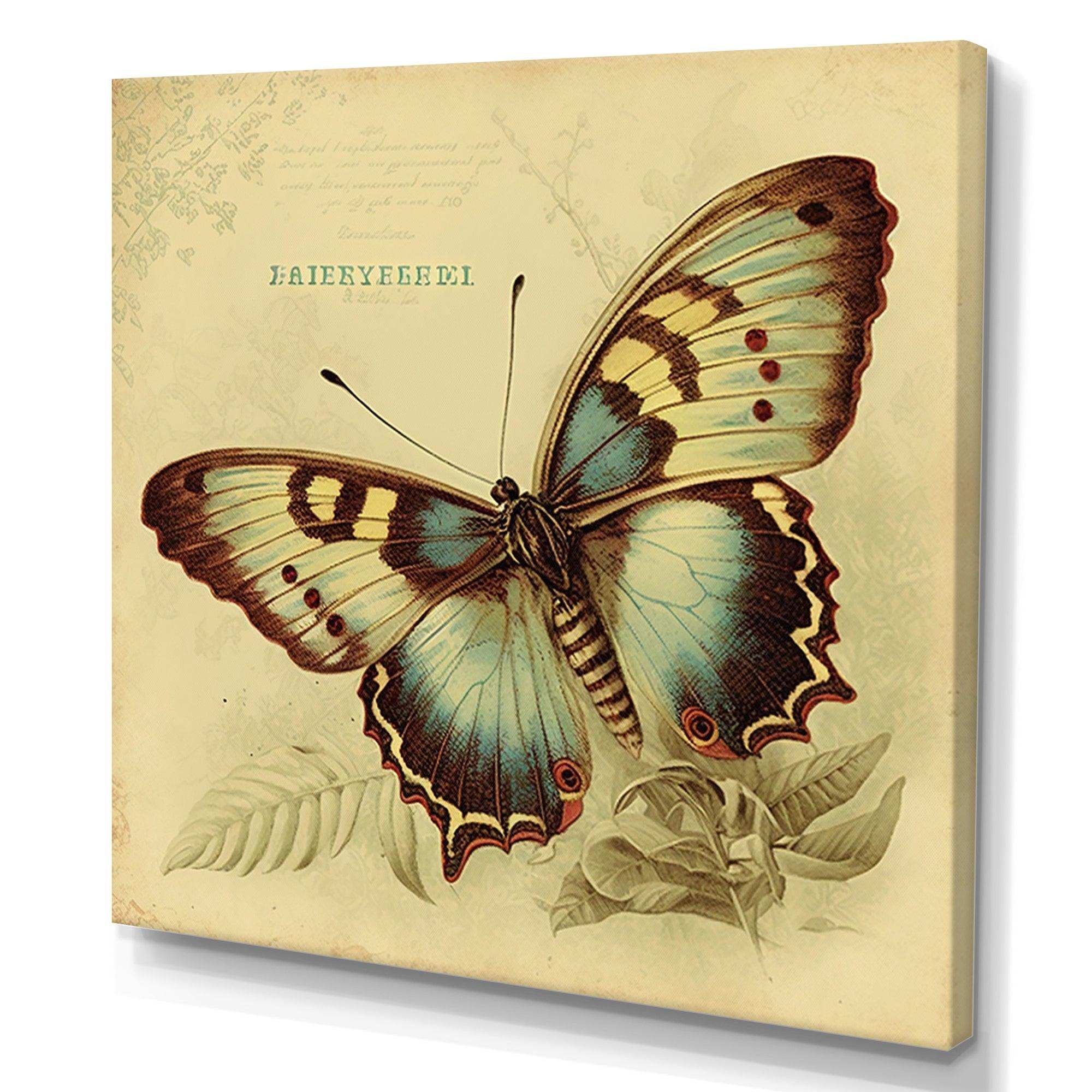 Vintage Illustration Of Butterfly V