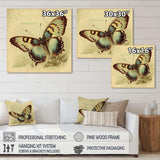 Vintage Illustration Of Butterfly V