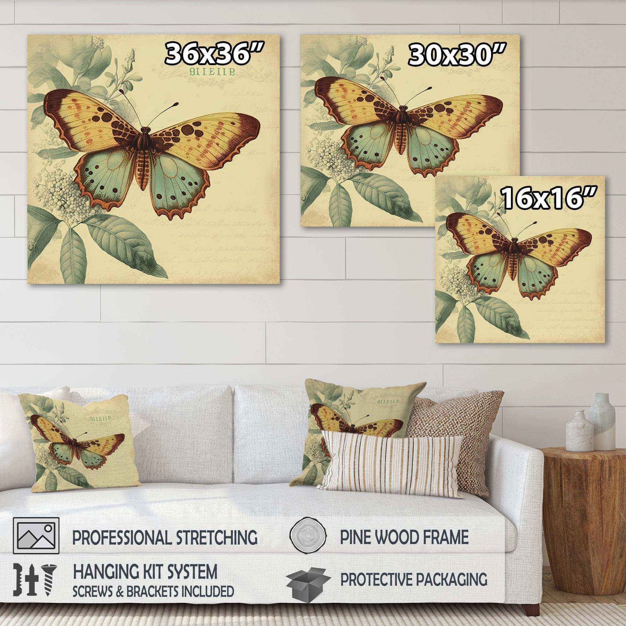 Vintage Illustration Of Butterfly VI