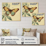 Vintage Illustration Of Butterfly VI