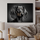 Portrait Of A Black Dachshund I