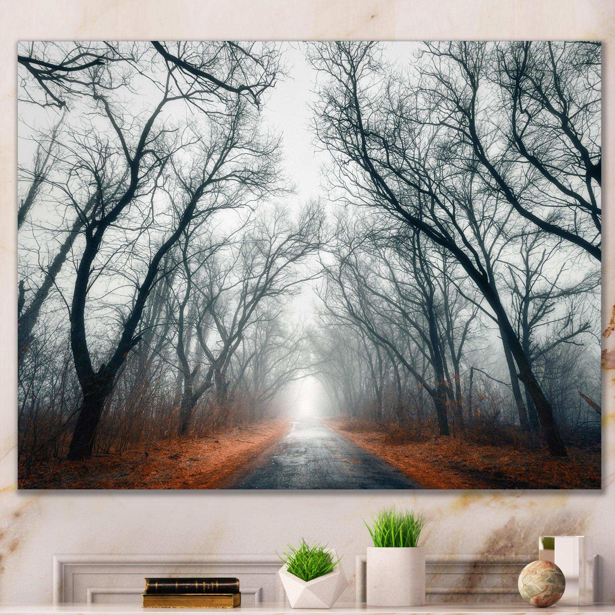 Mystic Road in Forest