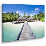 Beach with Coconut Palm Trees