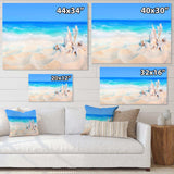 Seashells on Seashore