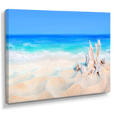 Seashells on Seashore