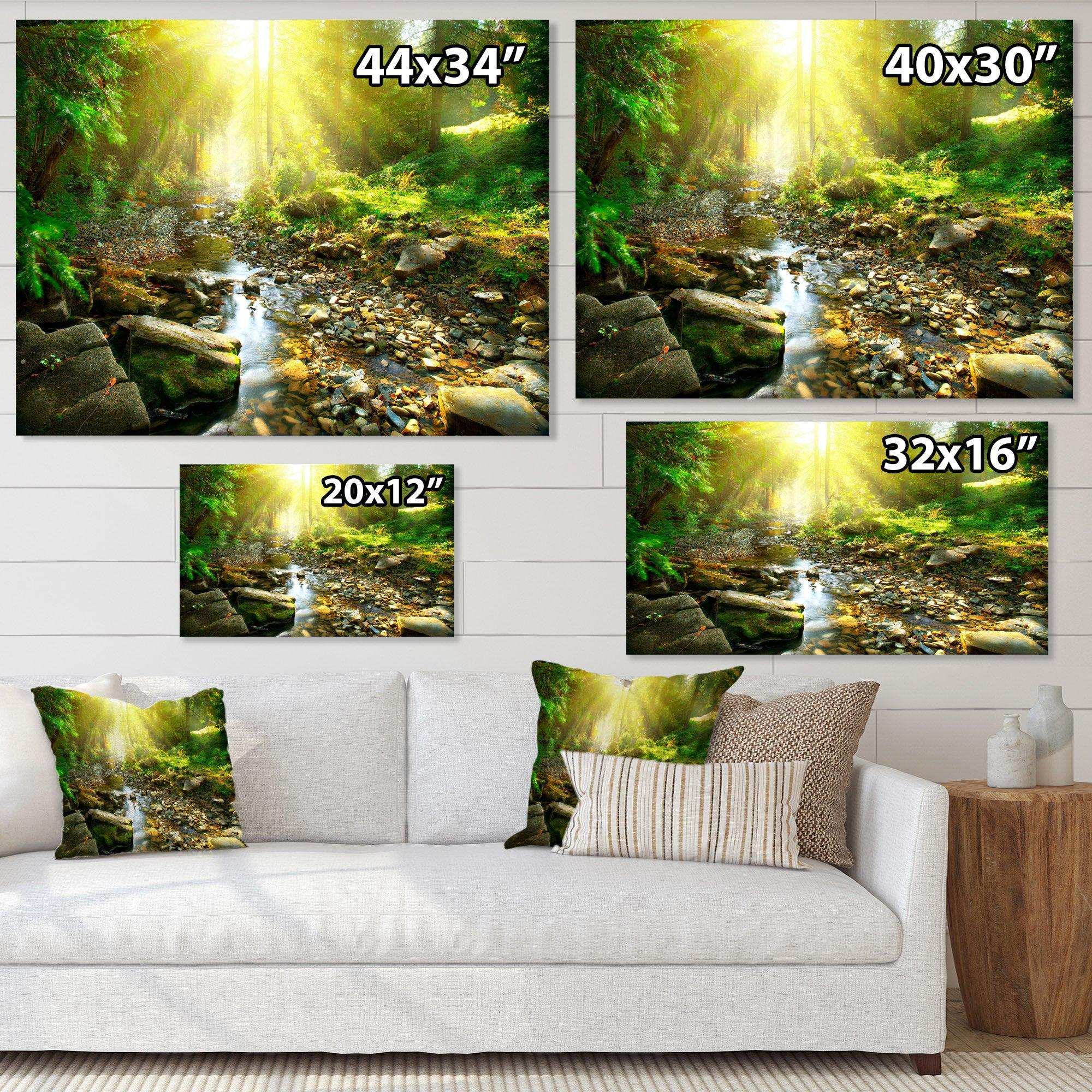 Mountain Stream in Forest