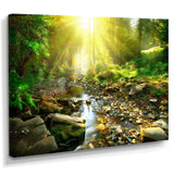 Mountain Stream in Forest