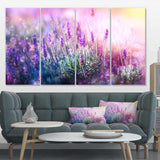 Growing and Blooming Lavender Multi-Panels