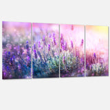 Growing and Blooming Lavender Multi-Panels
