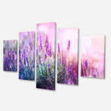 Growing and Blooming Lavender Multi-Panels