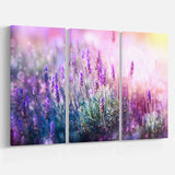 Growing and Blooming Lavender Multi-Panels