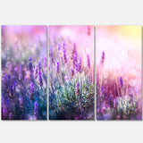 Growing and Blooming Lavender Multi-Panels