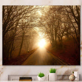 Path to Sunlight in Autumn Forest
