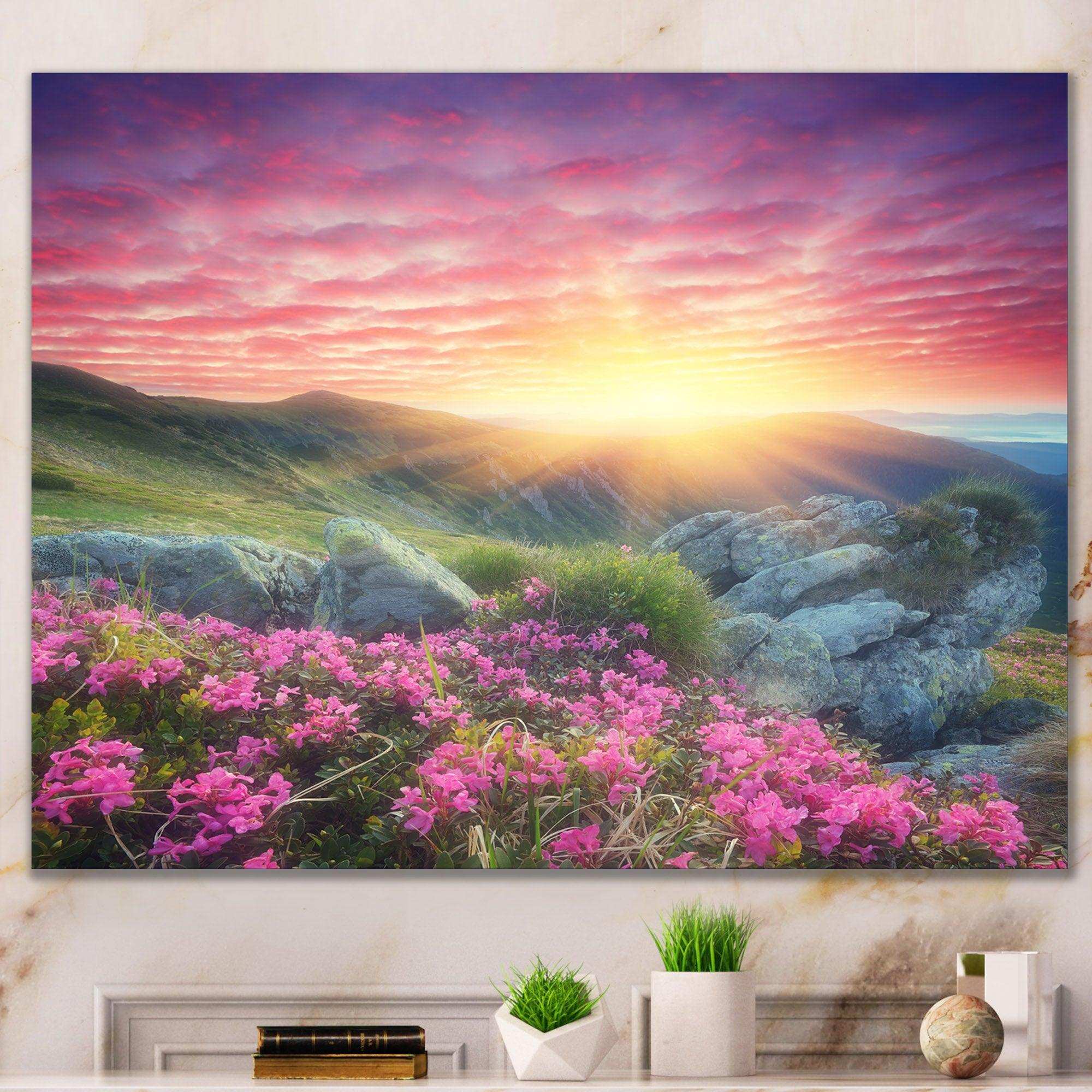 Morning with Flowers in Mountains