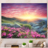 Morning with Flowers in Mountains