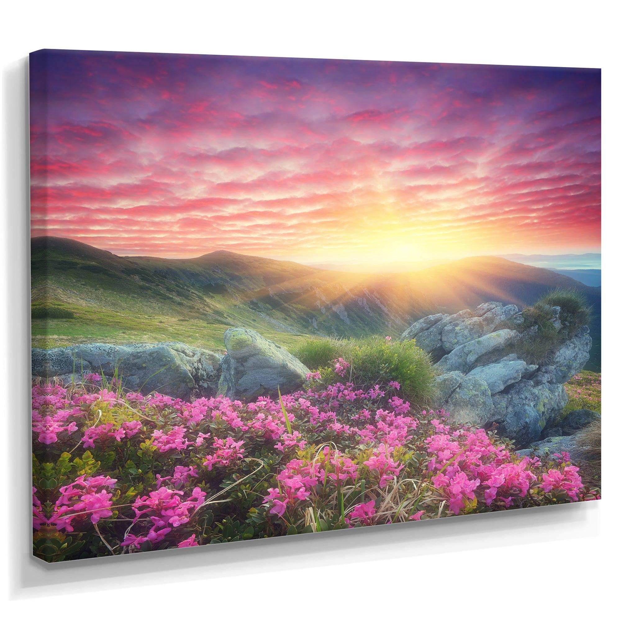 Morning with Flowers in Mountains