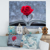 Red Rose Inside the Book