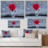 Red Rose Inside the Book