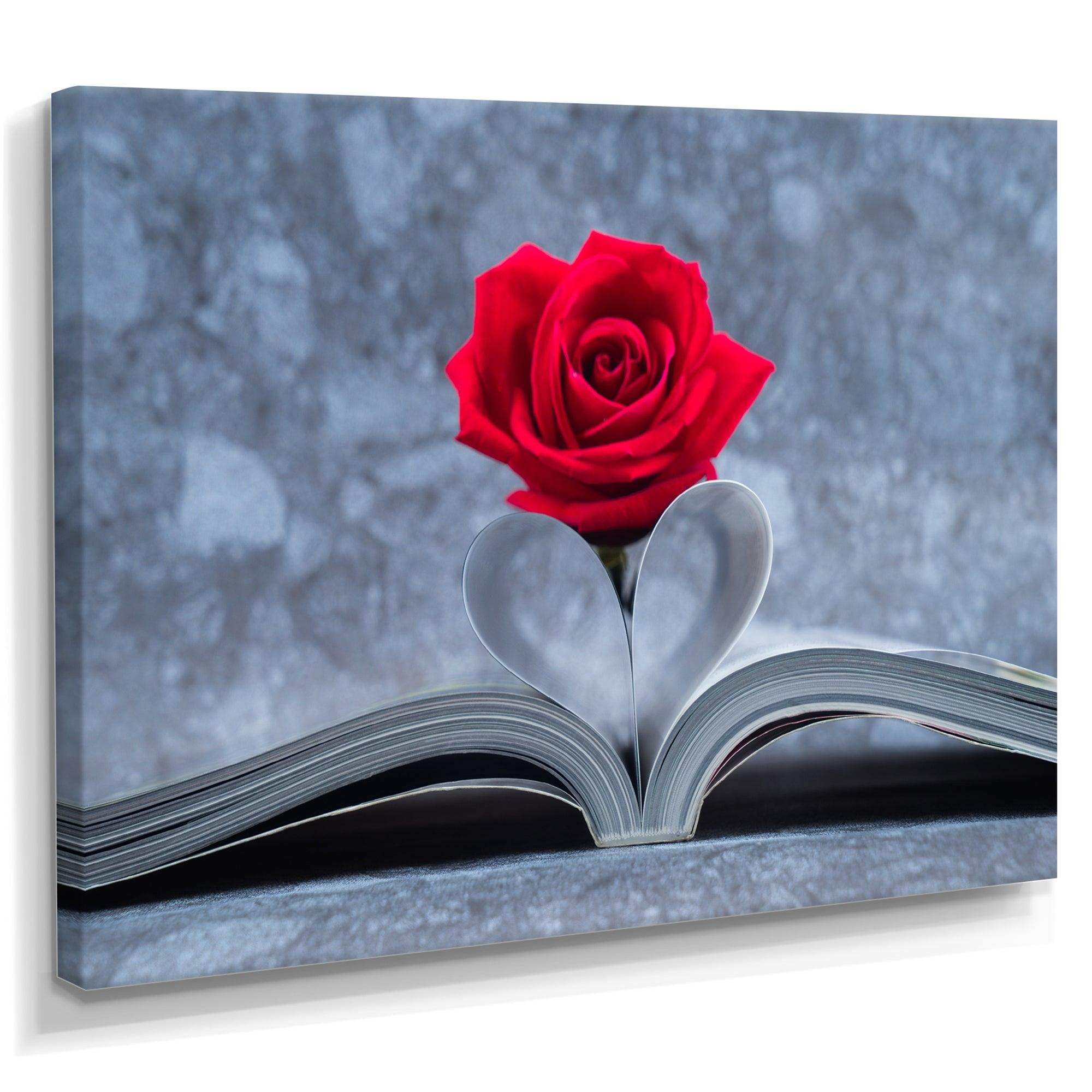 Red Rose Inside the Book