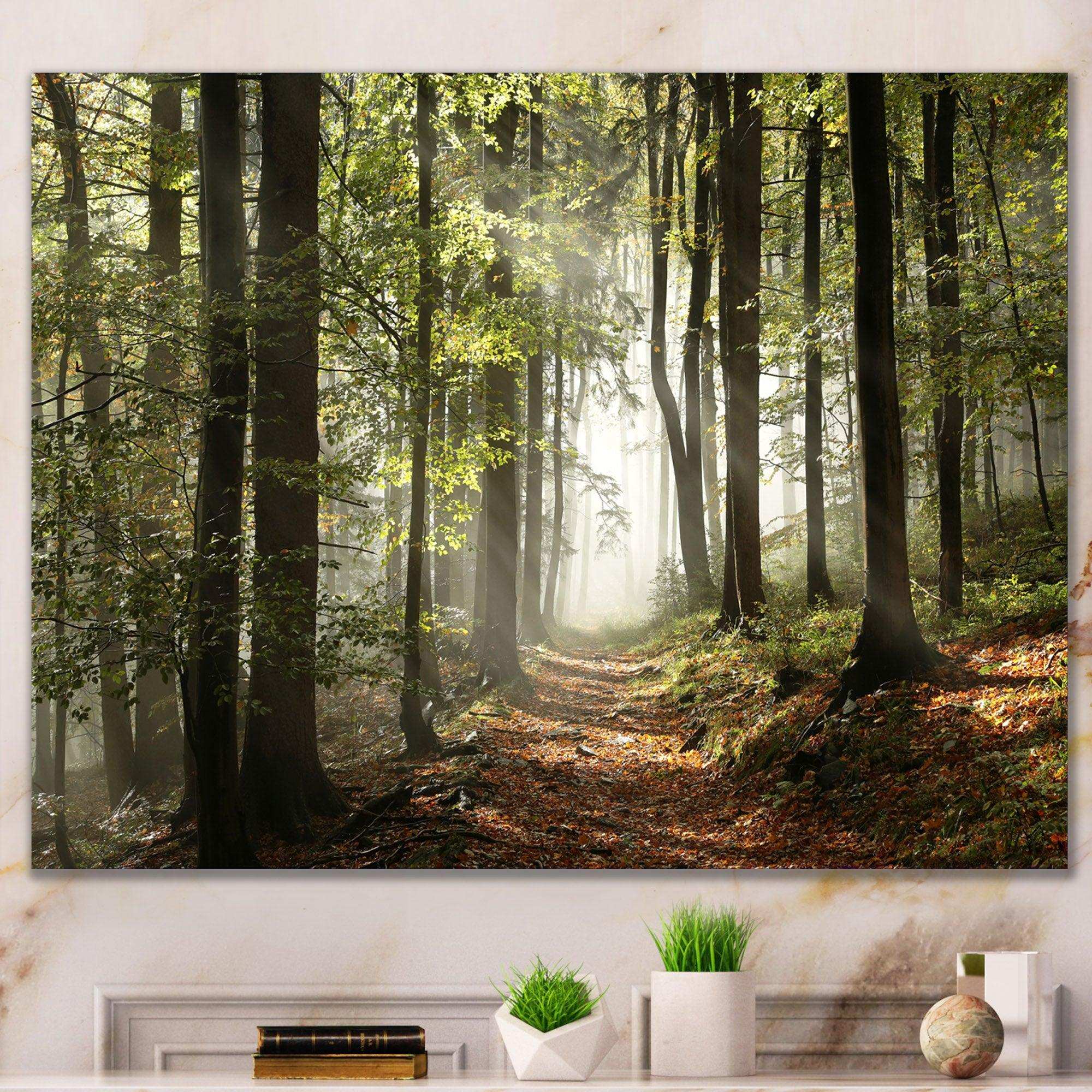 Green Fall Forest with Sun Rays