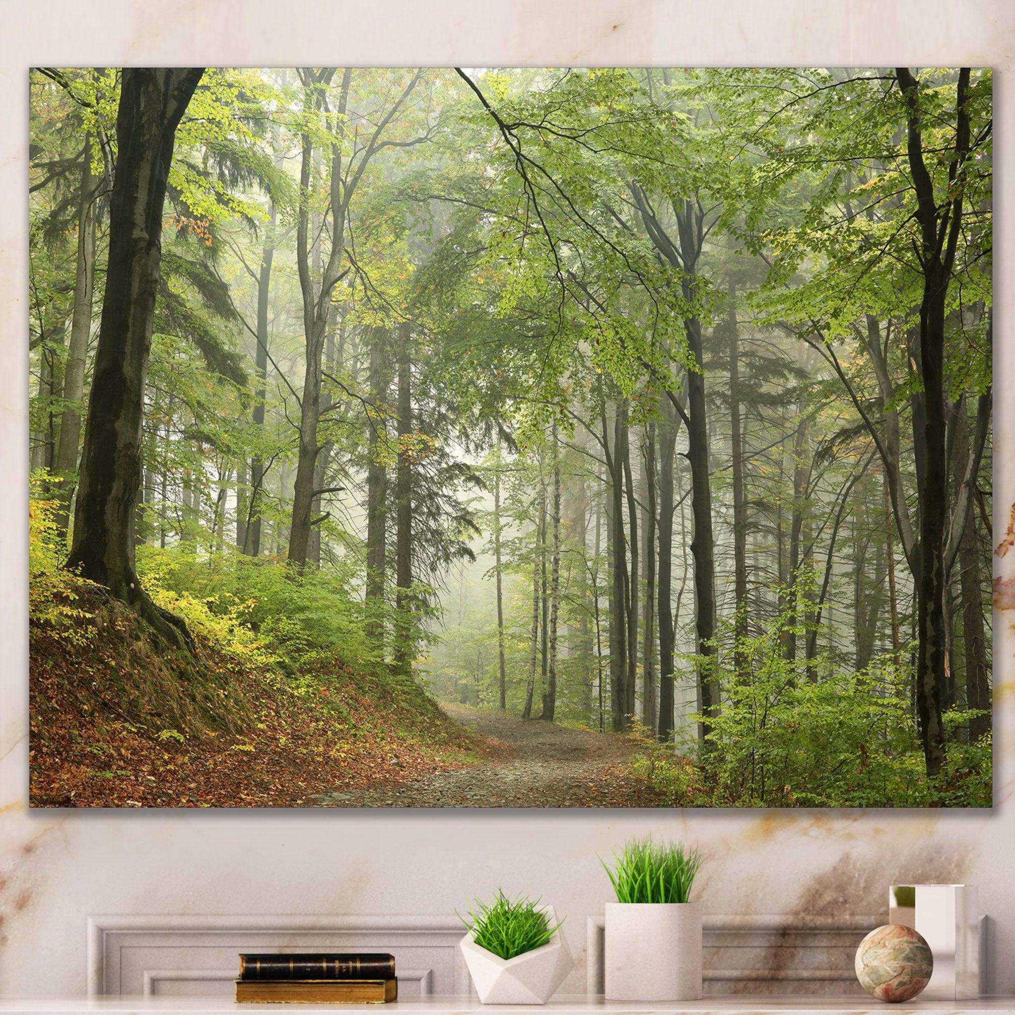 Green Beach Forest Pathway