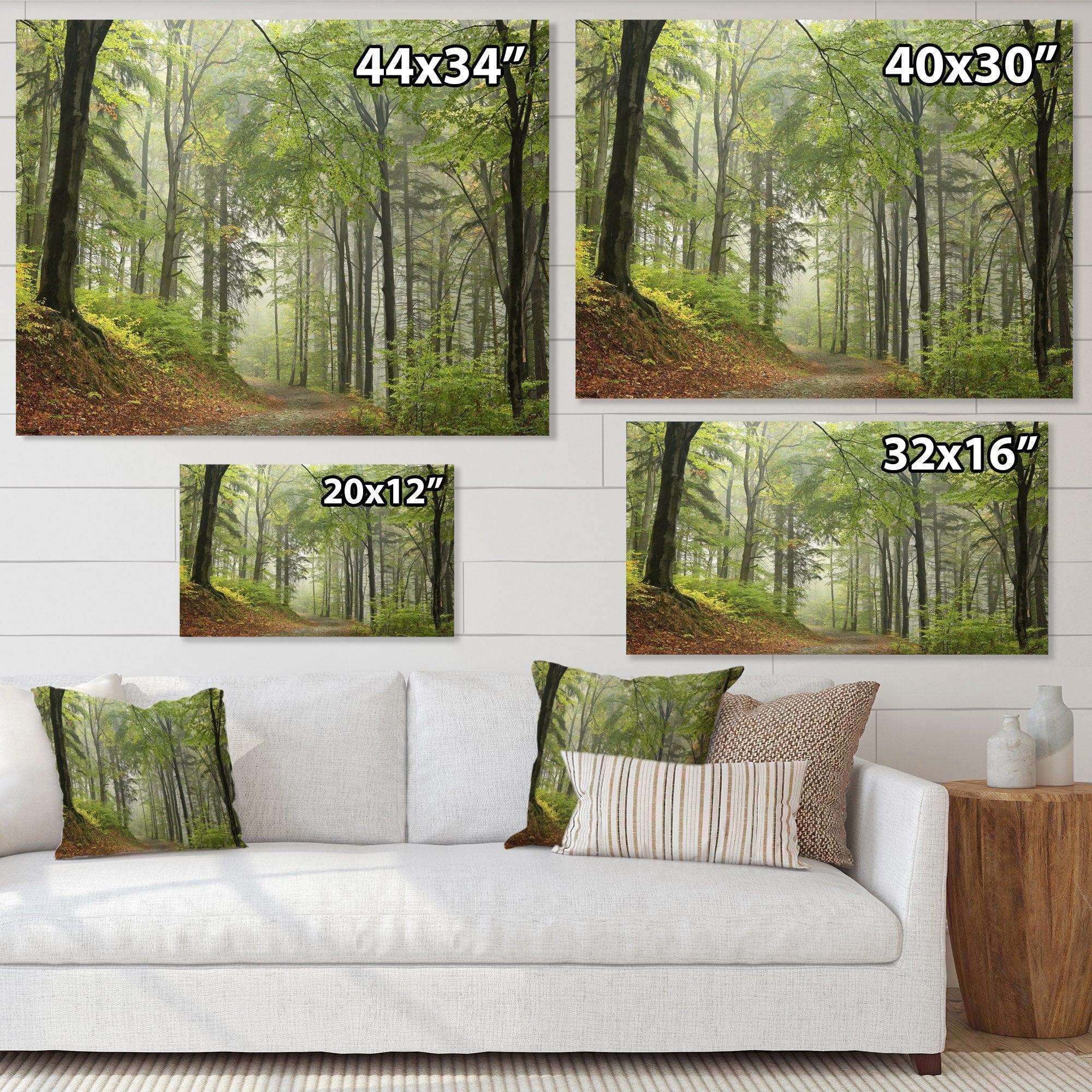 Green Beach Forest Pathway