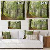 Green Beach Forest Pathway