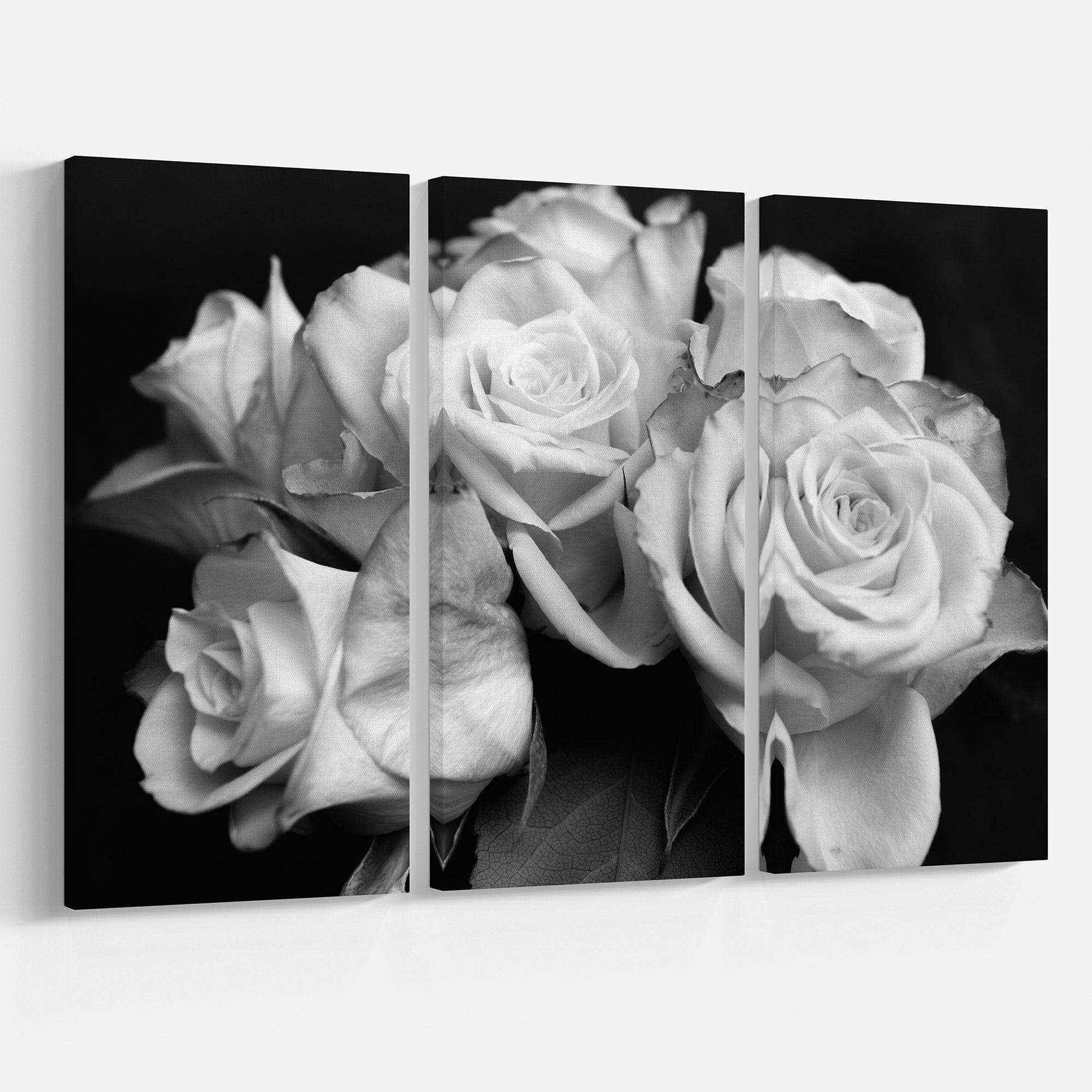 Bunch of Roses Black and White Multi-Panels
